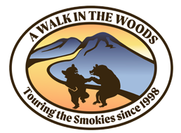 A Walk in the Woods